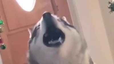 an opera singer