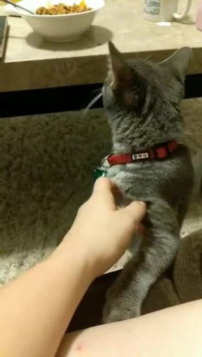 She does not like receiving no for an answer