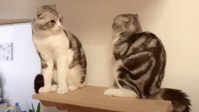 I don't like you!