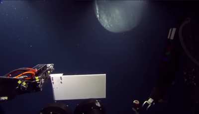 The deep-sea research drone E/V Nautilus had an unexpected visitor....a sudden encounter with a rare sperm whale.
