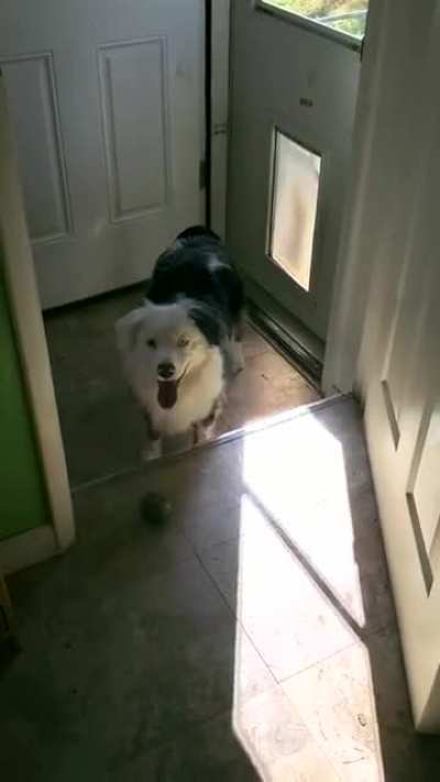 Poppy's package delivery service