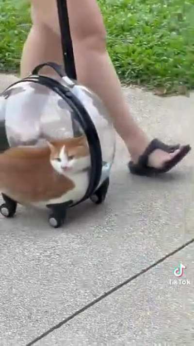 Traveling in style