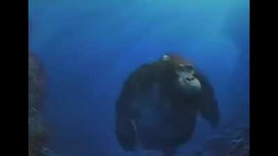 Water Monke 😎😎