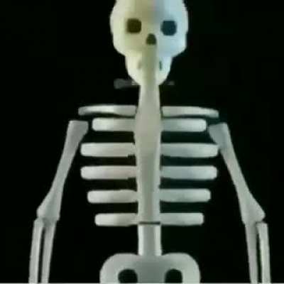 Dingus expandus