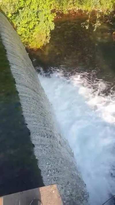 Verinag Spring