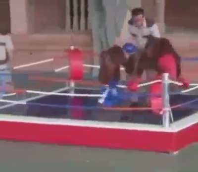 The greatest boxing match ever (heil spez)