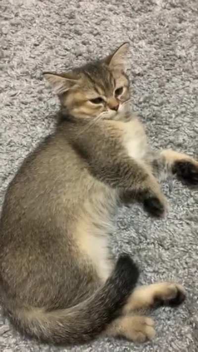 Oh, it‘s just you?
