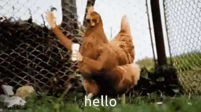 What a friendly cock