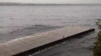 Imagine standing on the dock...