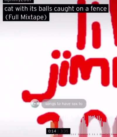 absolutely fire