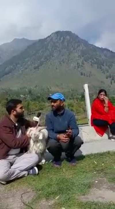 The goat was done with the interview
