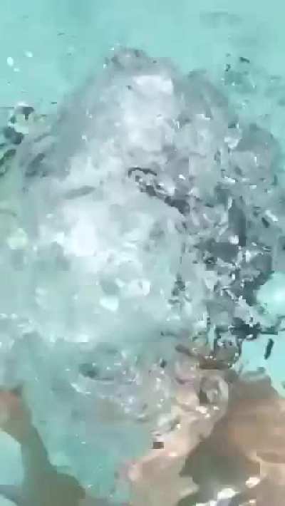 Unique way she lets them drop