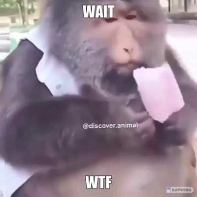 omg