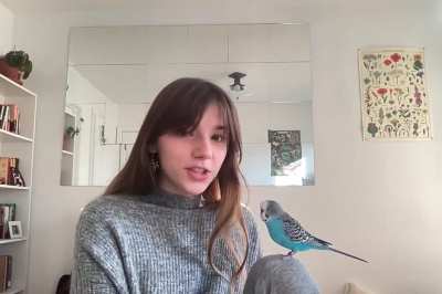Duncan wanted to steal the show for one of my college course introduction videos.