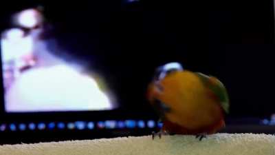 Little buddy feeling the beat