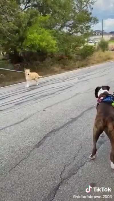 Common encounter
