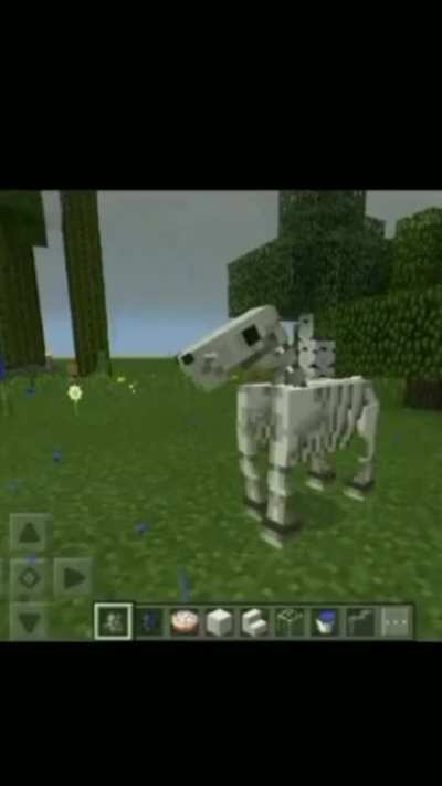 💀