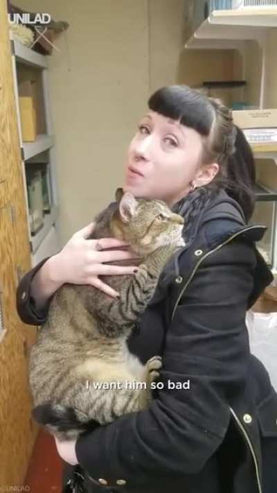 You now have a cat