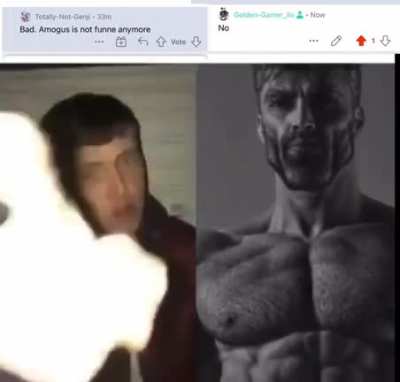 Sus