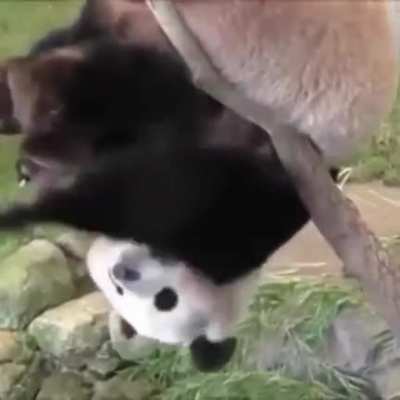Balancing act