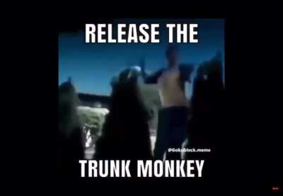 TRUNK MONKEY