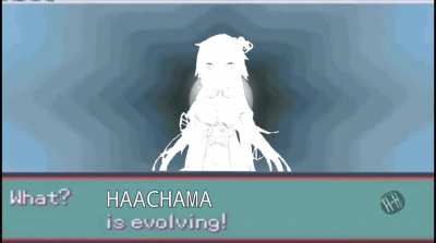 HAACHAMA IS EVOLVING