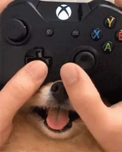 Latest Dog XBOX Joystick