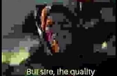 moldy quality