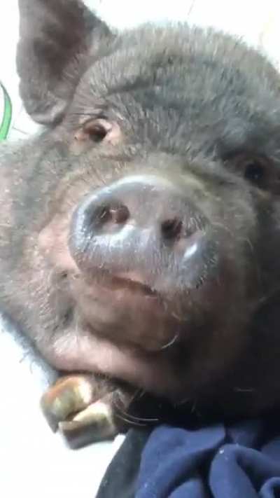 Heard y’all like lip smackin’
