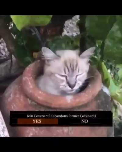 Would you join?