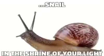 snailchurch