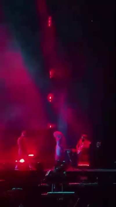 Funny video from Bogota show: Dan is dancing with a fan shark