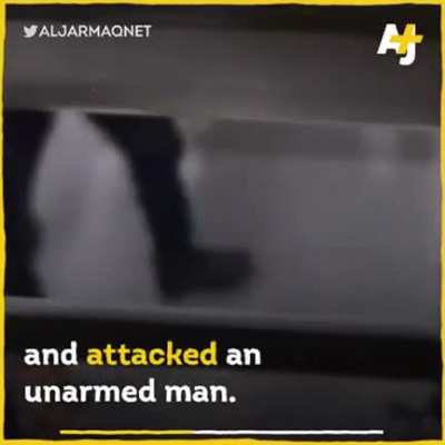 Israeli mob hunts down Palestinians