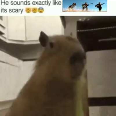 😨😨