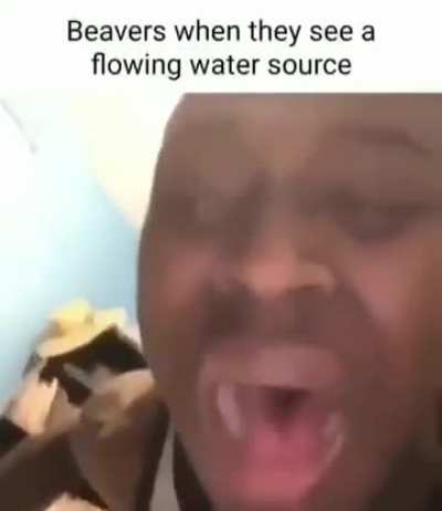 Dam