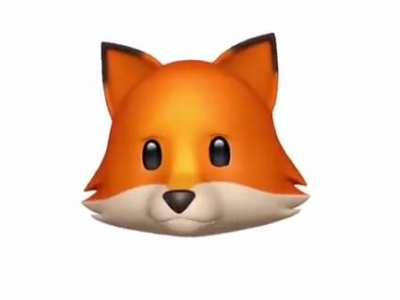 Fox_IRL