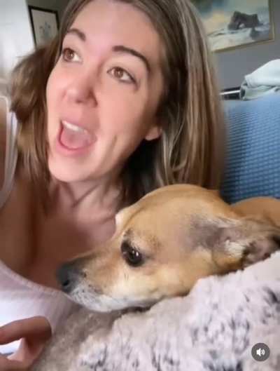 Old but gold! Sorry in case it was posted here before…