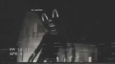 Trolleado