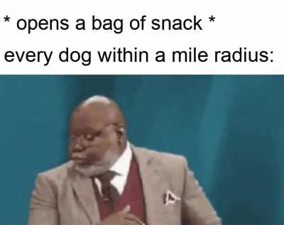 only one question. HOW?