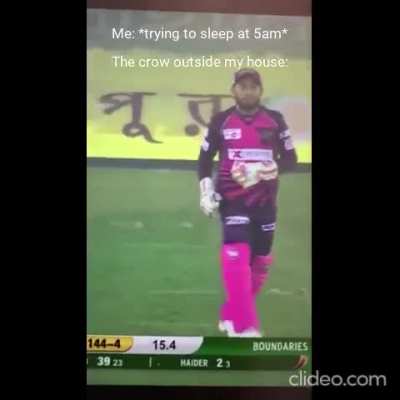Shakib memes is where it’s at