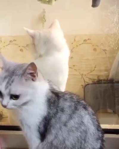 Очки