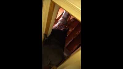 Bridgette Booty in Jeans going down attic