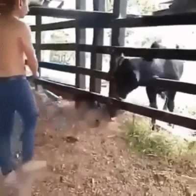 Boneless bones