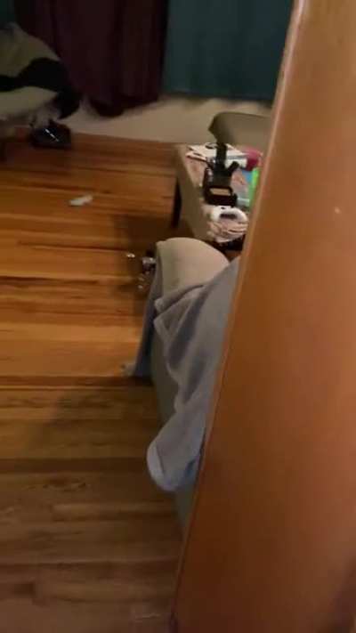 motion sensor