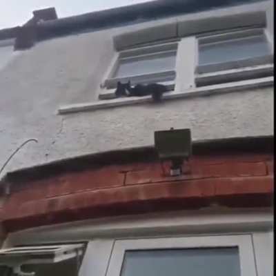 Creepy Cat, Bringer Of Screams, God Of Terror