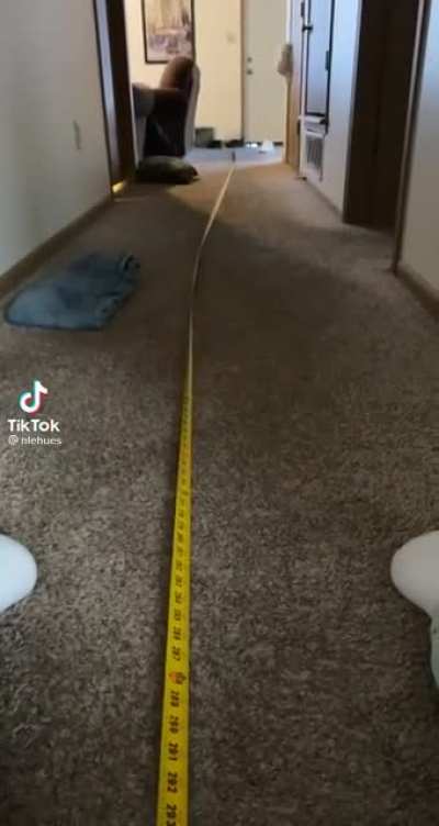 25 foot milwaukee tape measure