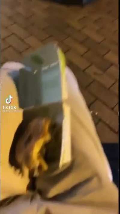 Poor seagull