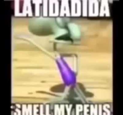 latidadida