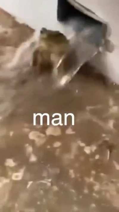 Frog