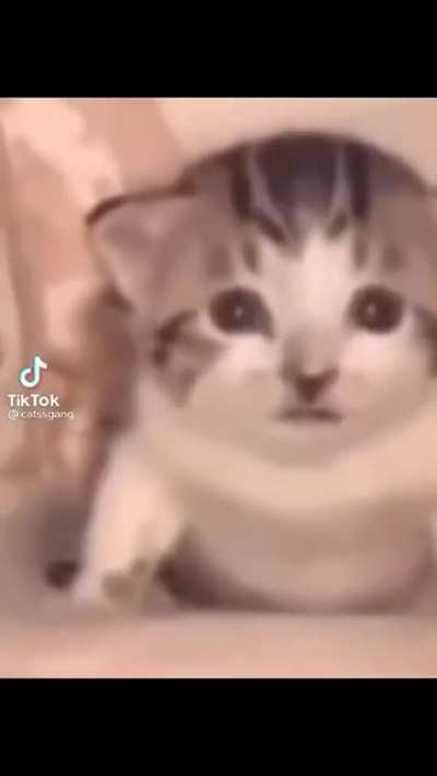 sensitive content